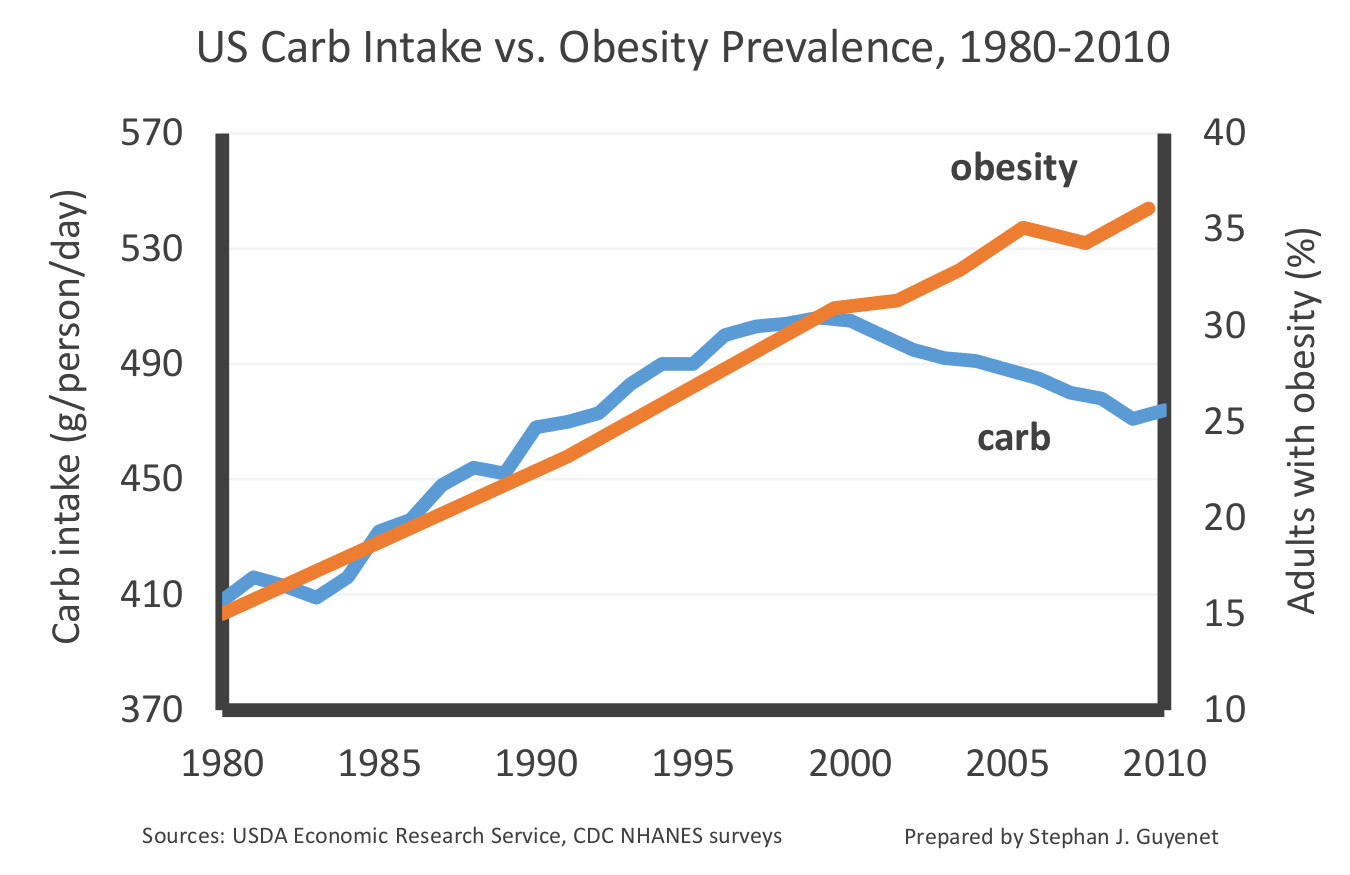Carbs-vs.-obesity.jpg